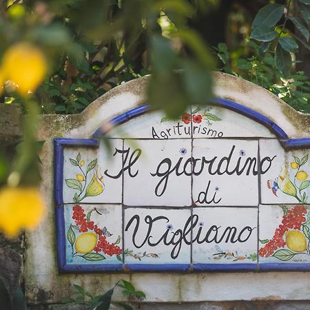 Agriturismo Il Giardino Di Vigliano Massa Lubrense Exterior photo