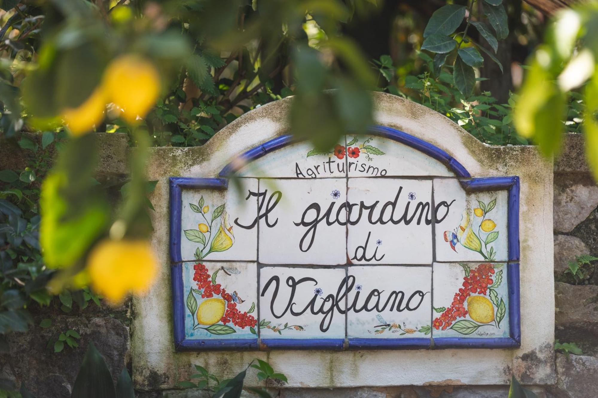 Agriturismo Il Giardino Di Vigliano Massa Lubrense Exterior photo